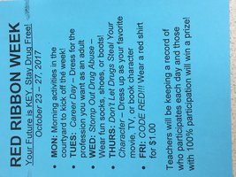 Red Ribbon Week at MVJHS