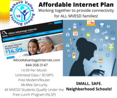 Affordable Internet