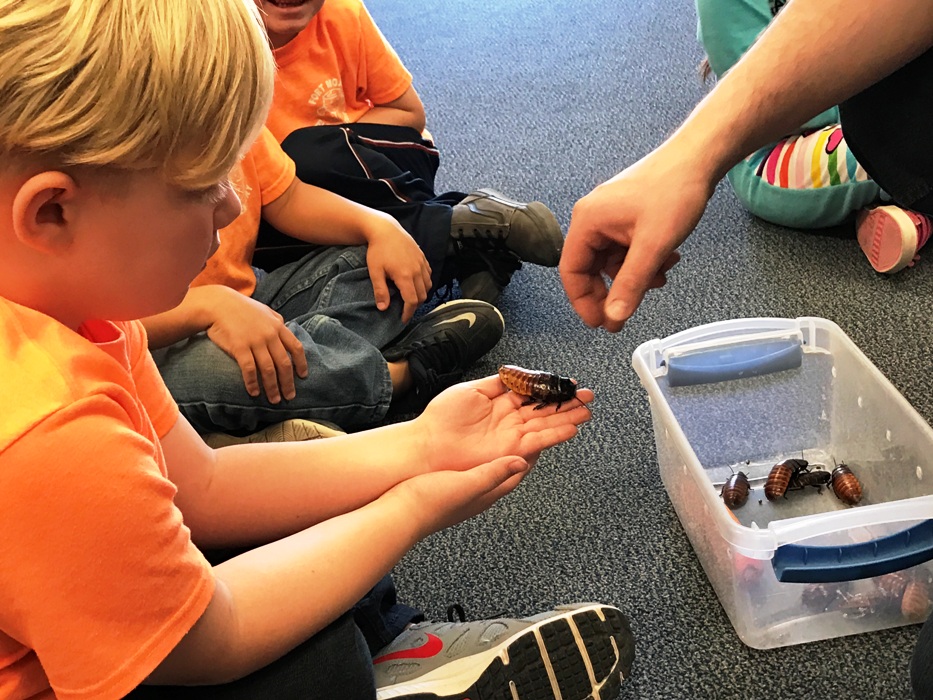 Mohave Valley School District